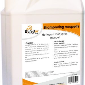 Champoing moquette